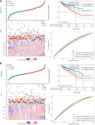 Novel characterization discoveries of ferroptosis-associated molecules in COAD microenvironment based TCGA data